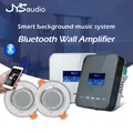 Home Theater Stereo Sound Bluetooth Wall Amplifier 1.7 Inch Display HiFi Music Player Audio Center