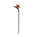 HOMEMAXS 1Pc Artificial Flower Paradise Bird Plastic Flower Home Decor (Orange)