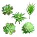 BESTONZON 5PCS Decorative Mini Assorted Green Plant Faux Artificial Succulent Plants Emulational Cactus Plants for Office Home Table Desk Garden