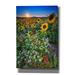 Gracie Oaks Sunflowers Canary Island Marguerites by Rick Berk - Wrapped Canvas Print Metal in Blue | 60 H x 40 W x 1.5 D in | Wayfair