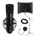 MXL 2003A Condenser Microphone Bundle with sE Electronics RF-X Pop Filter Stand Cable
