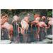 Lots of Flamingos Jigsaw Puzzle 500 Pieces Intellectual Entertainment Educational Puzzles Fun Game for Family Children and Adults