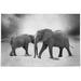 Dreamtimes Black White Two Elephants Walking on Field Jigsaw Puzzles for Adults 1000 Pieces Puzzles for Adults 29.5 x 19.7 Challenging Kids Teens Family Puzzle Game