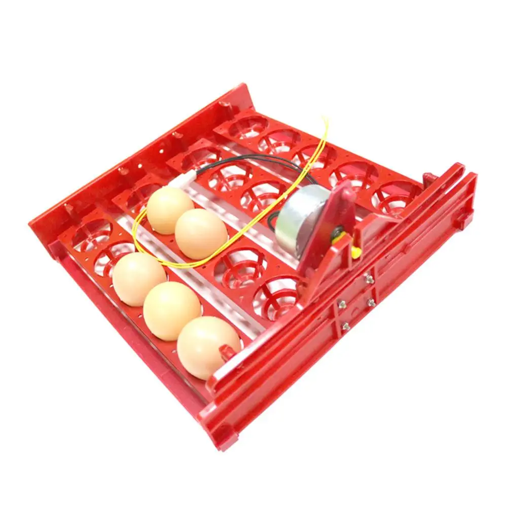 20 Incubatrice per uova Girare Vassoio per uova Pollo Uccello Anatra Oca Piccione Quaglia Incubatrice automatica Attrezzatura per incubatrice per pollame per animali da fattoria