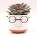 Edington Decor Face Planter Pot Head Planter Pot Succulent Pot with Drainage 4 inch Unique Cute Plant Pot with Glasses for Indoor Plants (Orange)