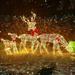 Augper Wholesale Christmas New Outdoor Decoration Luminous Deer Three Piece Set Gardening Decoration Ornaments Outdoor