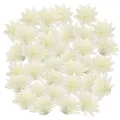 100Pcs Diffuser Flowers for Fragrance Oil Flower Diffuser Diffuser Sticks Aroma Flower Replacement