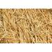 100% Natural Wheat Straw for Animal Bedding Garden Mulch Compost & Fertilizer and Grass Cover (4 Pounds)
