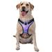 Bingfone Colorful Purple Cosmos Flower No Pull Dog Vest Harness For Small Medium Large Dogs Strap For Puppy Walking Training Dog Harness-Small