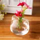 Vase en verre transparent pour chat plante à fleurs Terrarium Vase suspendu décoration de