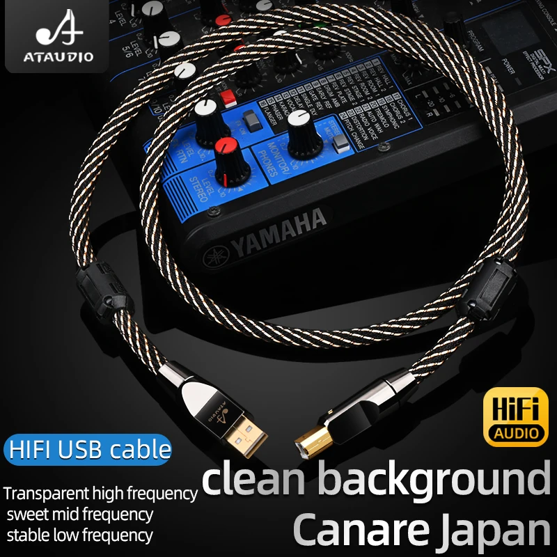 ATAUDIO Cavo USB HIFI USB Tipo A a TypeB/Tipo C Cavo USB OTG Spina placcata oro 6N OFC Tipo C a Tipo C per scheda audio