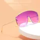 2023 Mode moderne übergroße Sonnenbrille für Frauen heiße Qualität Vintage siamesischen
