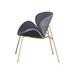 {2 Chair} Velvet Dining Chairs, Upholstered Living Room Chairs with Gold Metal Legs Vanity Chair for Home/Office/Dining