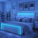 Velvet Upholstered Tufted Platform Bed with Deep Tufted Buttons, Adjustable Colorful Lighted Strip Decorative Headboard