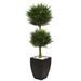 Silk Plant Nearly Natural Cypress Topiary with Black Planter UV Resistant (Indoor/Outdoor)