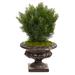 Silk Plant Nearly Natural 30 Cedar Artificial Tree in Iron Colored Urn (Indoor/Outdoor)