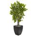 Silk Plant Nearly Natural 57 River Birch Artificial Tree in Black Planter