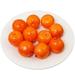 Duixinghas 10Pcs/Bag Artificial Fruit Foam Vibrant Color Realistic Mini Long Lasting Photo Props Crafts Dining Table Decor Fake Vegetable Home Supplies