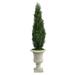 Silk Plant Nearly Natural 5 Cedar Artificial Tree in Sand Finished Urn (Indoor/Outdoor)