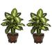 Silk Plant Nearly Natural Dieffenbachia w/Wood Vase Silk Plant (Set of 2) - Golden Yellow