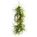 Silk Plant Nearly Natural 48 Air Plant Artificial Hanging Plant