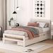 Red Barrel Studio® Elianny Twin size Storage Bed solid wood bed w/ drawers Wood in White | Wayfair 2645C0DC53B94911A39CBFCDA69F1908