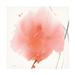 Wrought Studio™ Red Flower Abstract by Sheila Golden - Unframed Print on Canvas in Pink/White | 24 H x 24 W x 2 D in | Wayfair