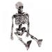 Skeleton Human Model Skull Full Body Mini Figure Toy Phone Hanger Halloween Skeleton Toys for Party Favors Happy Halloween Goody Bag Fillers for Kids Boys & Girls