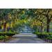 Wade Logan® Spanish Moss Savannah Georgia - Photograph Canvas in White | 24 H x 36 W x 1.25 D in | Wayfair 81EA4B3F5505493DB4702355BE4250D5