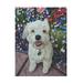 Winston Porter Pet Portrait Of Little Ozz The Pomeranian Poodle Cross On Canvas by Steve Crockett Canvas Art Canvas in White/Black | Wayfair