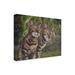 Winston Porter Pet Portrait Of Albus & Boo The Bengal Cats On Canvas by Steve Crockett Canvas Art Canvas in White/Black | Wayfair