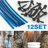 6/12Set Maple Syrup Tree Tapping Kit Maple Sap Dropper Taps Set Tree Tap Filter Collection Tubes