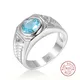 Männer Aquamarin Edelsteine Blau Zirkon Ringe für Männer Vintage Luxus S925 Sterling plata Hochzeit