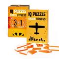 SET OF 3 Geek Toys IQ Puzzle Brain Fitness Games Brain Teaser Puzzles for Adults and Kid Puzzle Mind Puzzles Brain Games