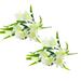 2PCS Room Decor Artificial Flower Decoration Lily Flower Artificial Flower Potted Decoration Wedding Decoration Dry Flower Decoration Artificial Artificial Artificial Flower