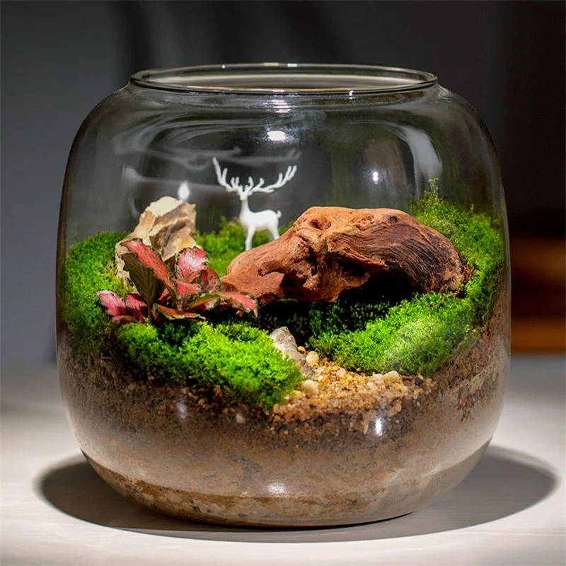 Kreative Moos Landschaft Glas Vase Sukkulente Container Micro Landschaft Glas Terrarium Bonsai Dekorative Glas Desktop Decor
