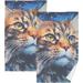 Coolnut Long Hair Cat Bathroom Towels 2 Pieces 16Ã—28 inches Cotton Bath Towel Water Absorbent Lightweight Quickdry Towels for Bathroom Ktichen Travel Gym