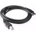 Monoprice High-Speed 6-ft USB 2.0 Printer Cable USB Type-A Male to Type-B Male - (Open Box)