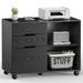 Filing Cabinet 5-Drawer File Cabinet for Home Office Mobile Lateral Printer Stand with Open Storage Shelves