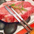 Steak Cutlery Stainless Steel Barbecue 2 Piece Set Outdoor BBQ Roast Lamb