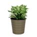 DTY Store DTY Signature 10.2 Self-watering Wicker Decor Planter for Indoor and Outdoor - Round Tan