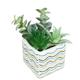 Lovely ceramic succulent pot indoor ceramic pot outdoor garden pot - style:style4;