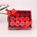 SDJMa 12 Flowers Luxury Preserved Roses in a Box Roses Carnations Roses Romantic Gifts for Her Mom Wife Girlfriend Anniversary Mother s Day Valentine s Day Christmas(Red Large Square Box)