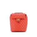 Chanel Leather Backpack: Red Accessories