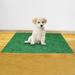 Tucker Murphy Pet™ Leak Resistant Puppy Potty Pad Polyester in Green | 28 W x 20 D in | Wayfair E683525193054472A946AA7DAFBC486F