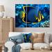 Highland Dunes Finned Fish Wonders II On Canvas 3 Pieces Print Metal in Blue/Yellow | 32 H x 48 W x 1 D in | Wayfair