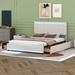 Brayden Studio® Clasine Bed w/ LED Light & 4 Drawers Upholstered/Linen in Brown | 44.5 H x 62.6 W x 81.9 D in | Wayfair