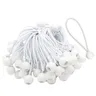 50 Pcs Bungee Cord with Balls Elastic Ties Bungee Toggles Ties for Marquees Tents Banners Flag