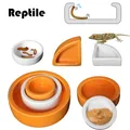 Ceramics Reptile Feeder Water Food Dish Feeding Bowl For Turtle Lizard Snake Basin Gecko Chameleon