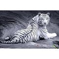 Jigsaw Puzzles, 1000 Piece Educational Learning Toy for Boys & GirlsWhite tiger-1000Pieces